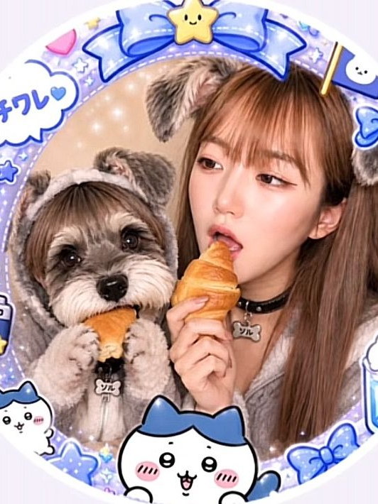 ZADU あくびちゃん 프로필